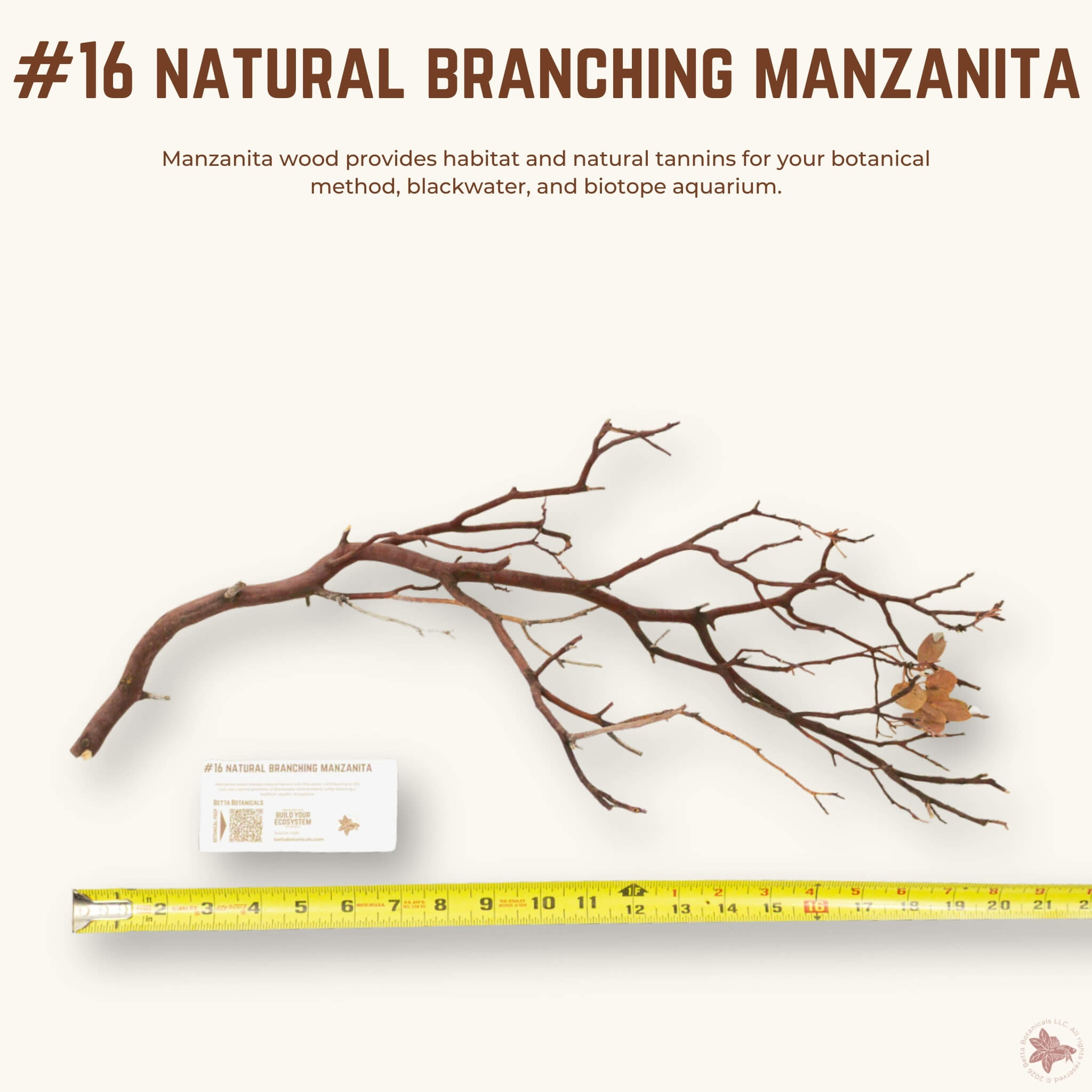 Natural Branching Manzanita | WYSIWYG Pieces