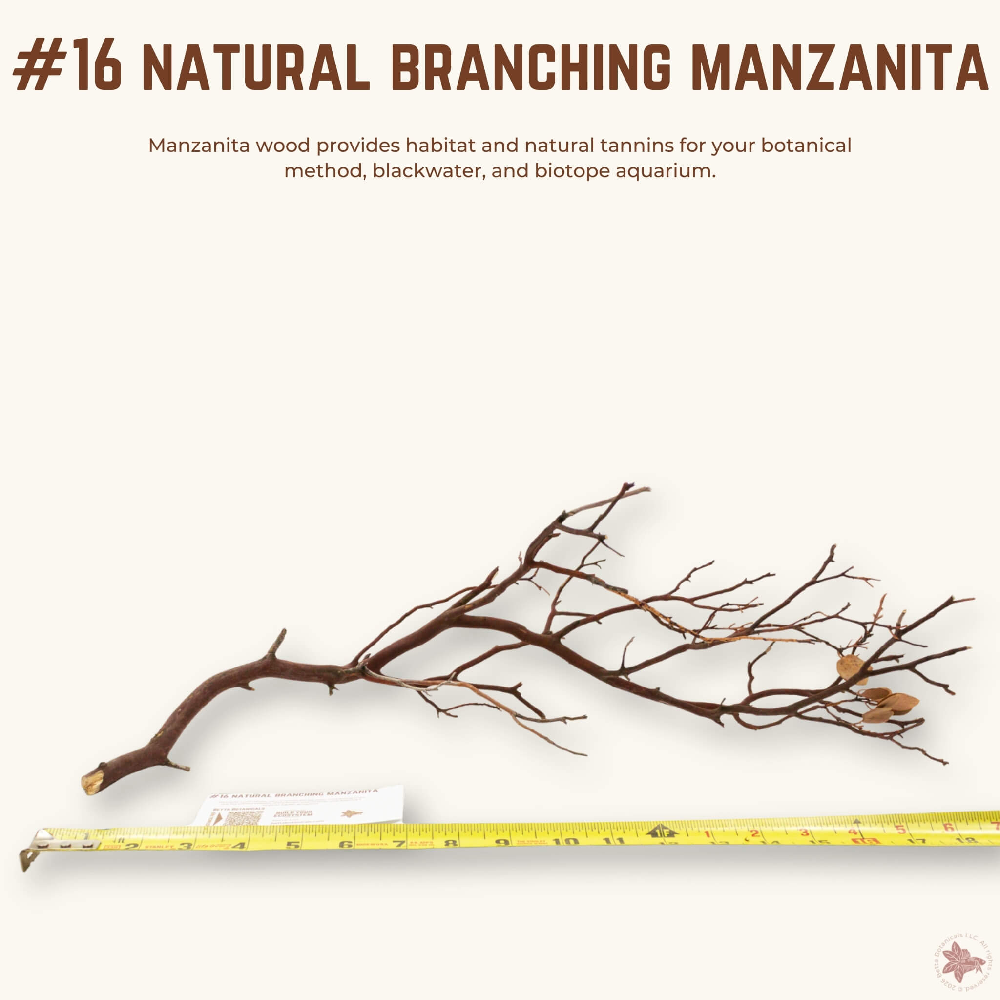 Natural Branching Manzanita | WYSIWYG Pieces