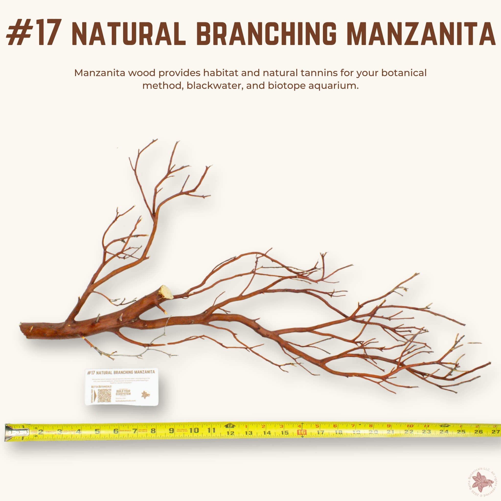Natural Branching Manzanita | WYSIWYG Pieces