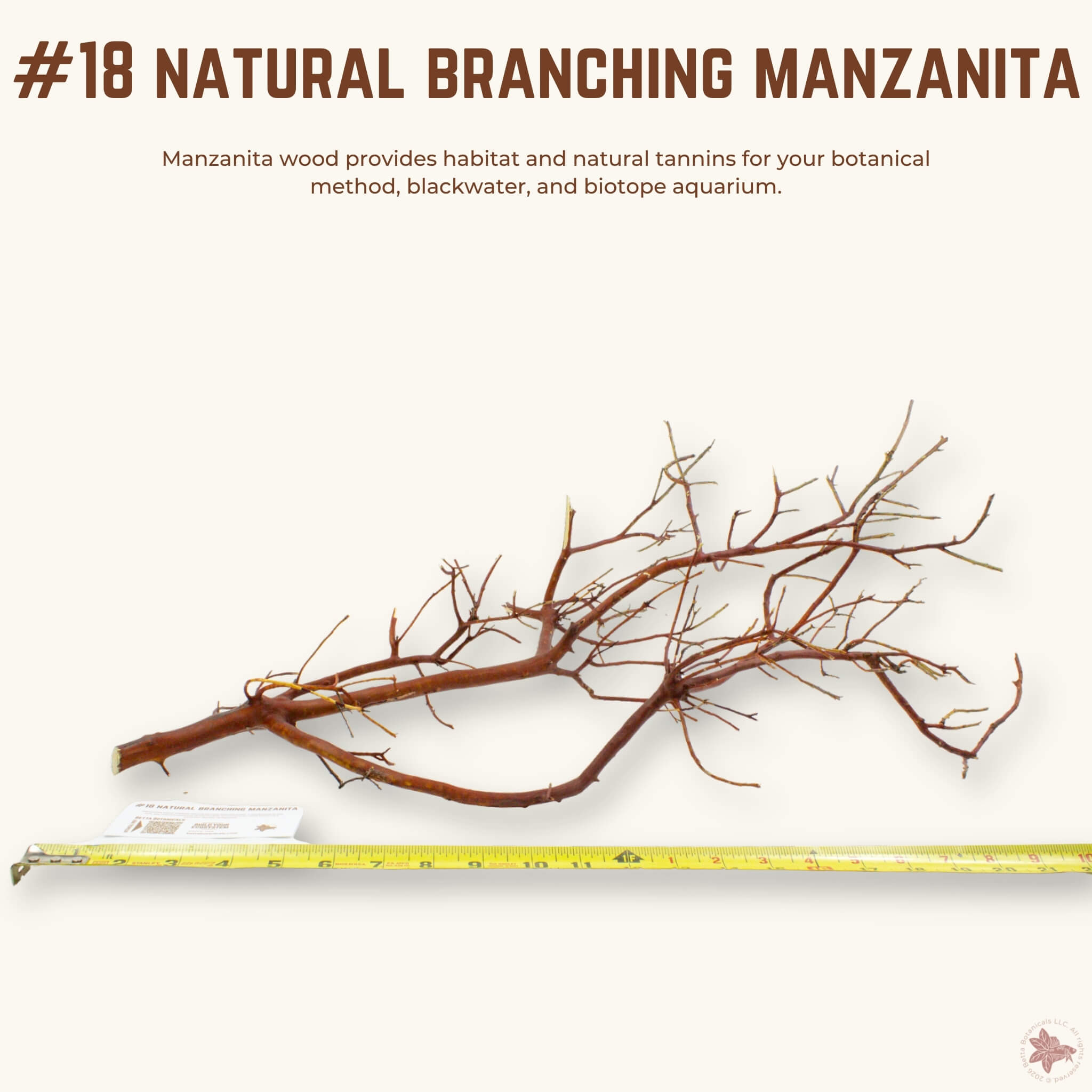 Natural Branching Manzanita | WYSIWYG Pieces