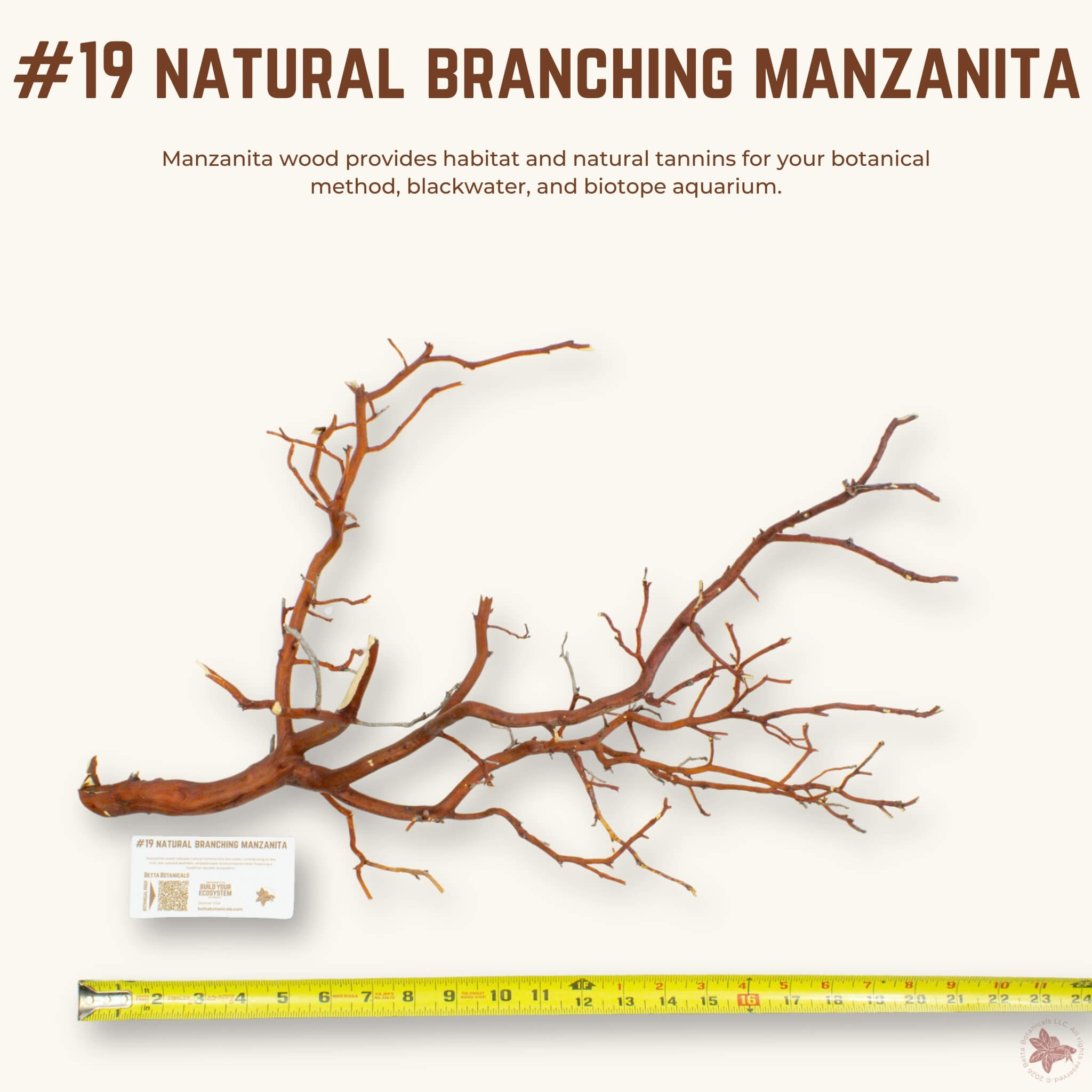 Natural Branching Manzanita | WYSIWYG Pieces