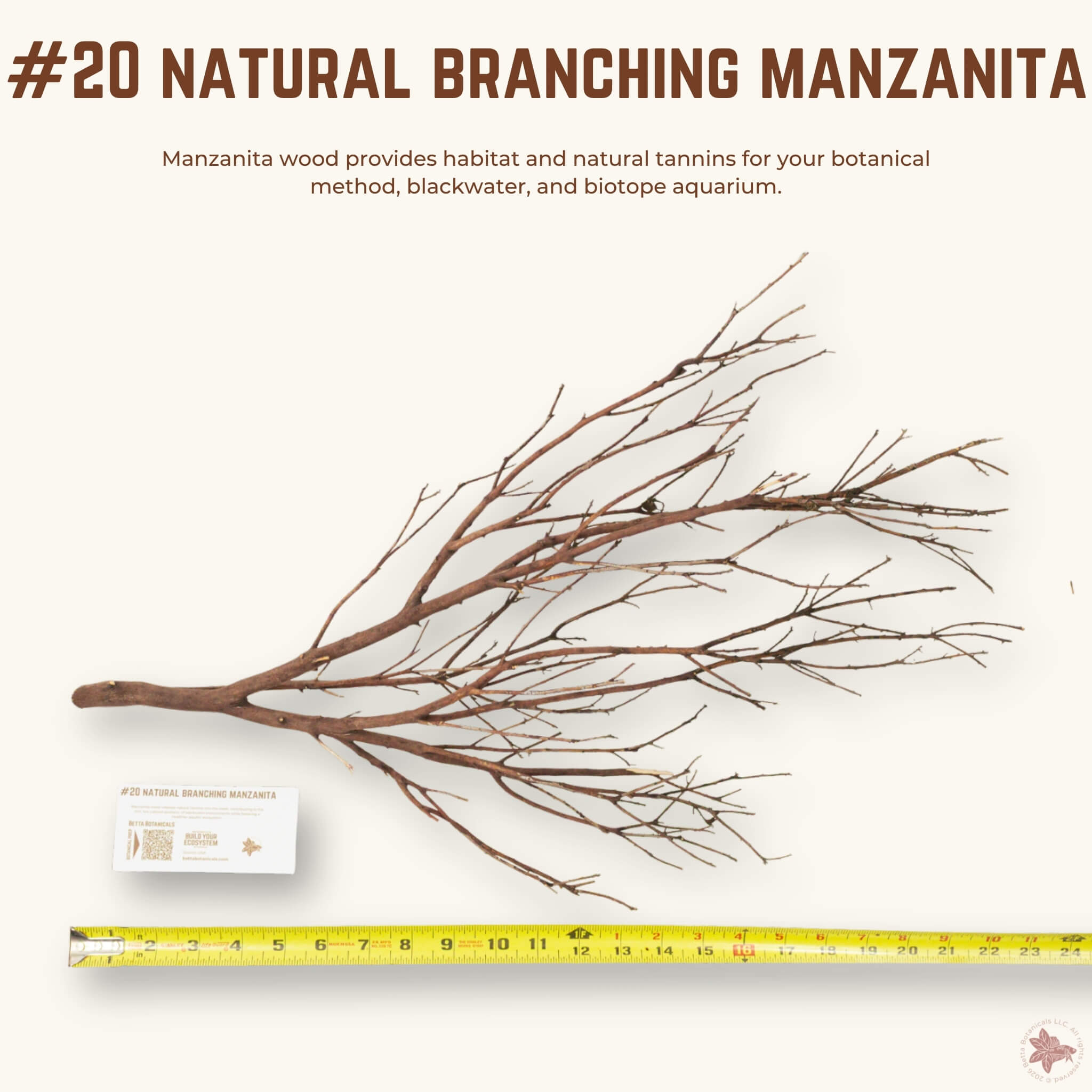Natural Branching Manzanita | WYSIWYG Pieces