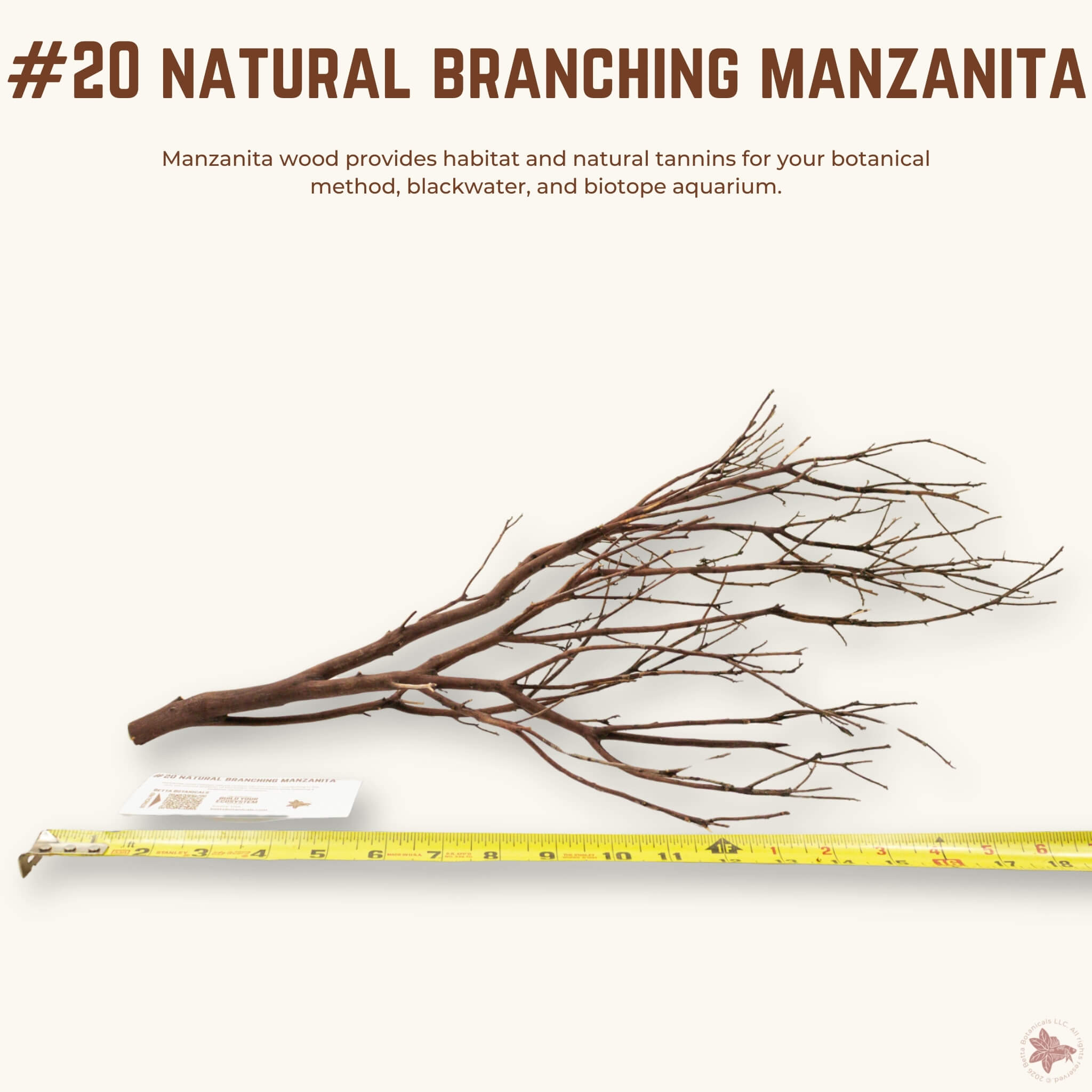 Natural Branching Manzanita | WYSIWYG Pieces