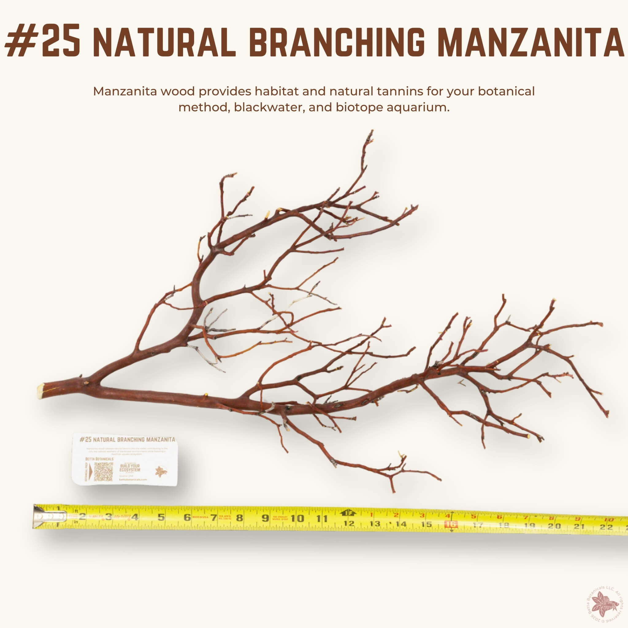 Natural Branching Manzanita | WYSIWYG Pieces