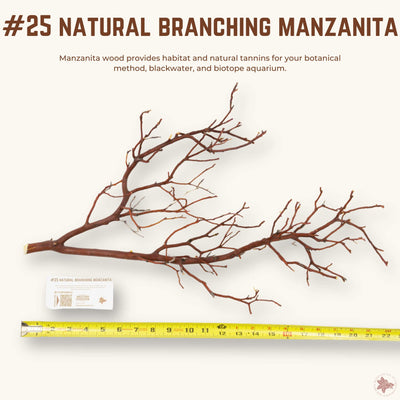 Natural Branching Manzanita | WYSIWYG Pieces