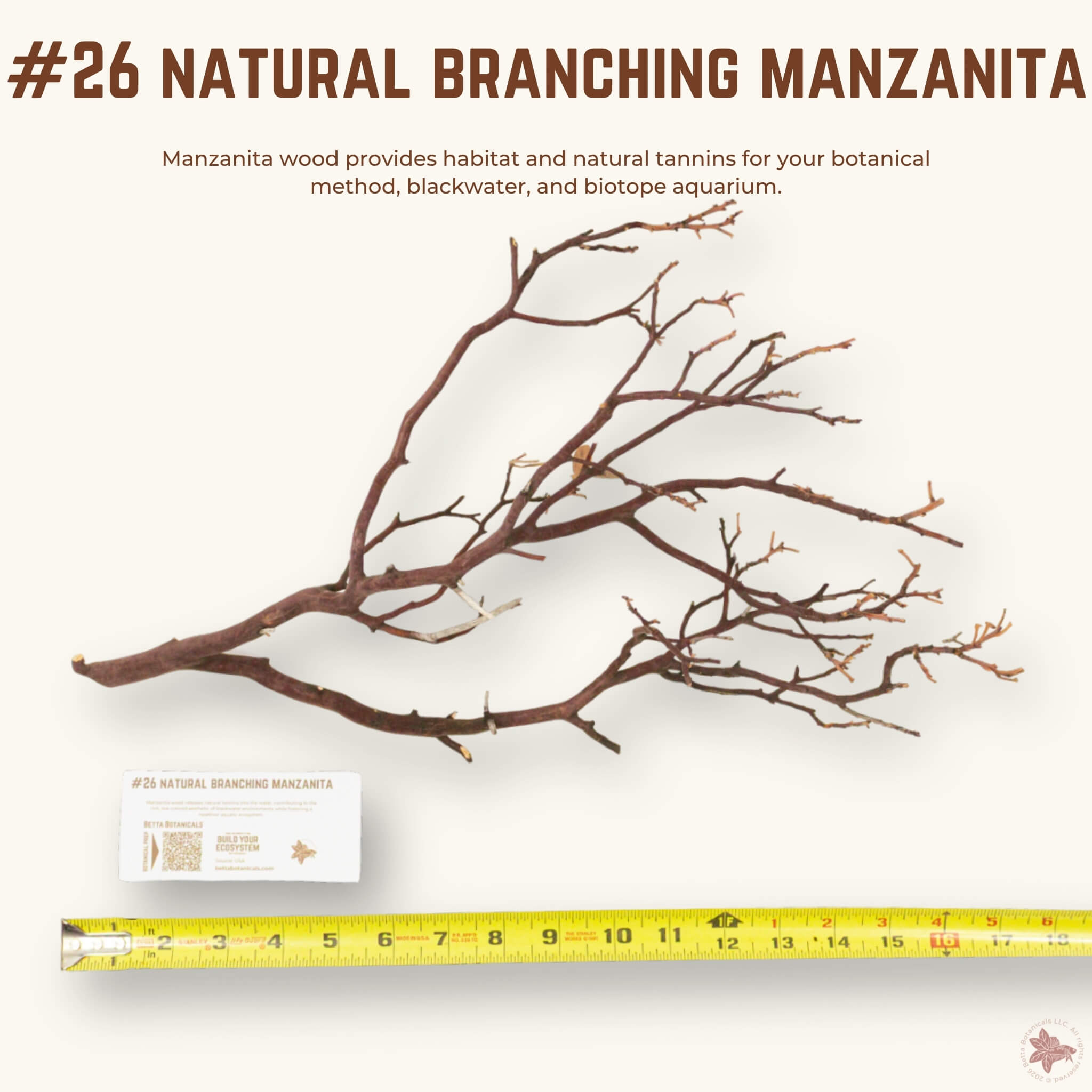 Natural Branching Manzanita | WYSIWYG Pieces