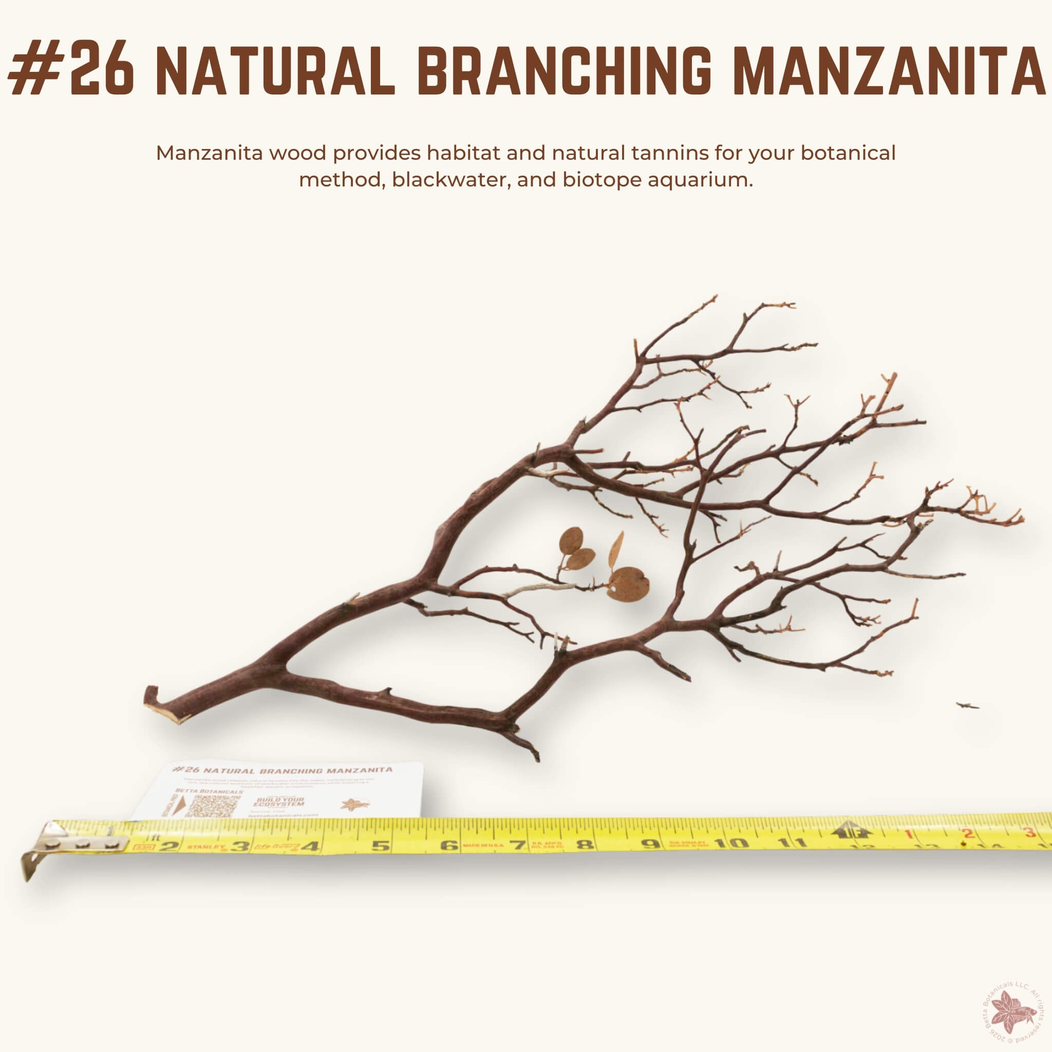 Natural Branching Manzanita | WYSIWYG Pieces