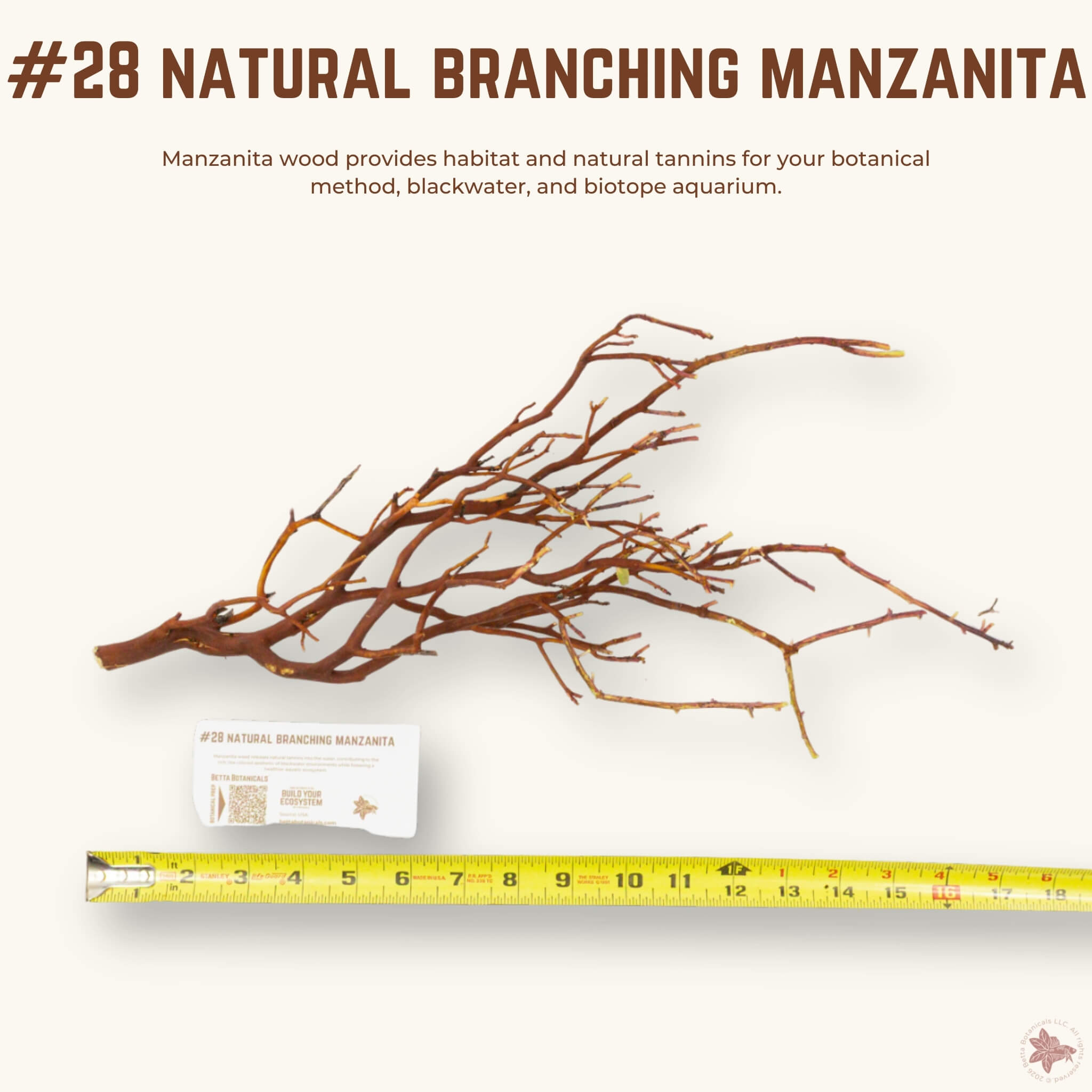 Natural Branching Manzanita | WYSIWYG Pieces