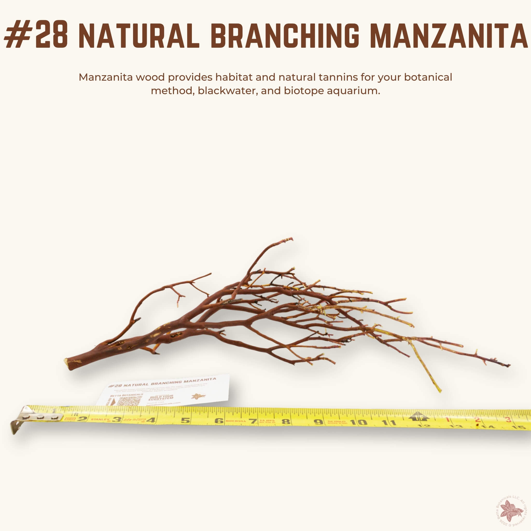 Natural Branching Manzanita | WYSIWYG Pieces