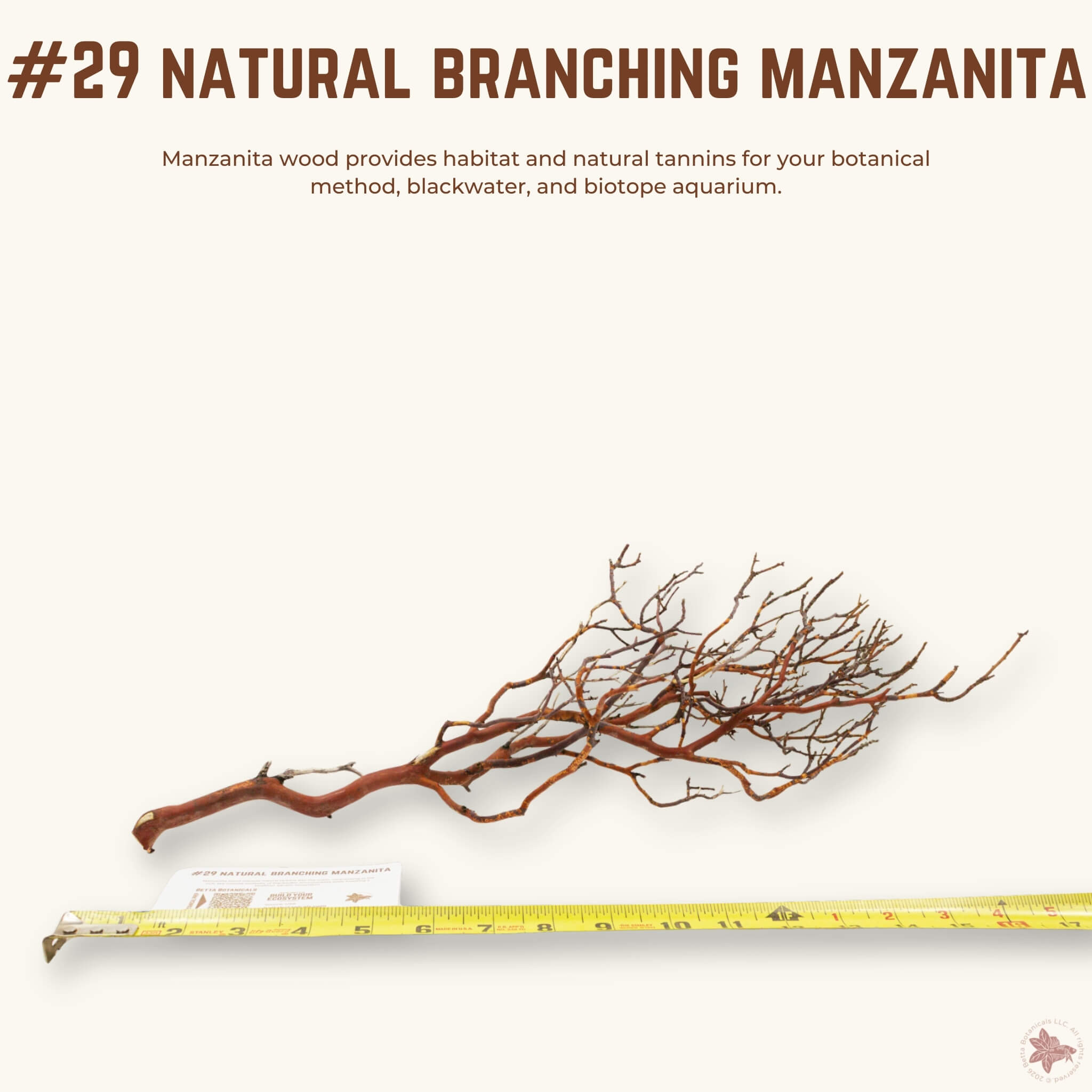 Natural Branching Manzanita | WYSIWYG Pieces