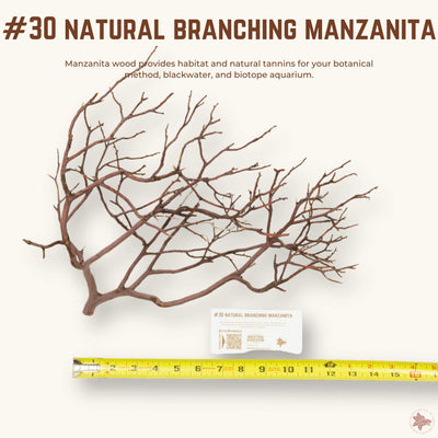 Natural Branching Manzanita | WYSIWYG Pieces