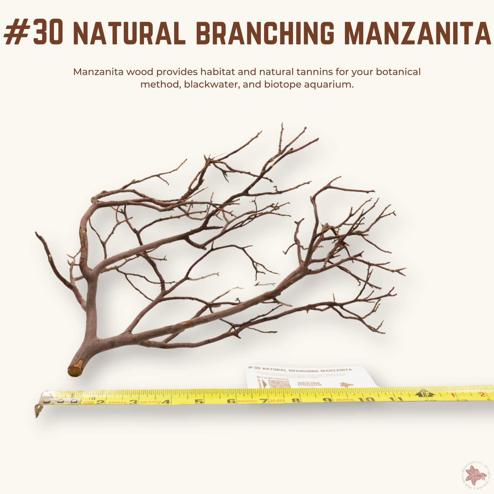 Natural Branching Manzanita | WYSIWYG Pieces