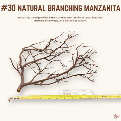 Natural Branching Manzanita | WYSIWYG Pieces