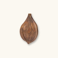 A brown fibrous nipa palm pod (Nypa fruticans) for blackwater aquariums, photographed on a natural background at Betta Botanicals.
