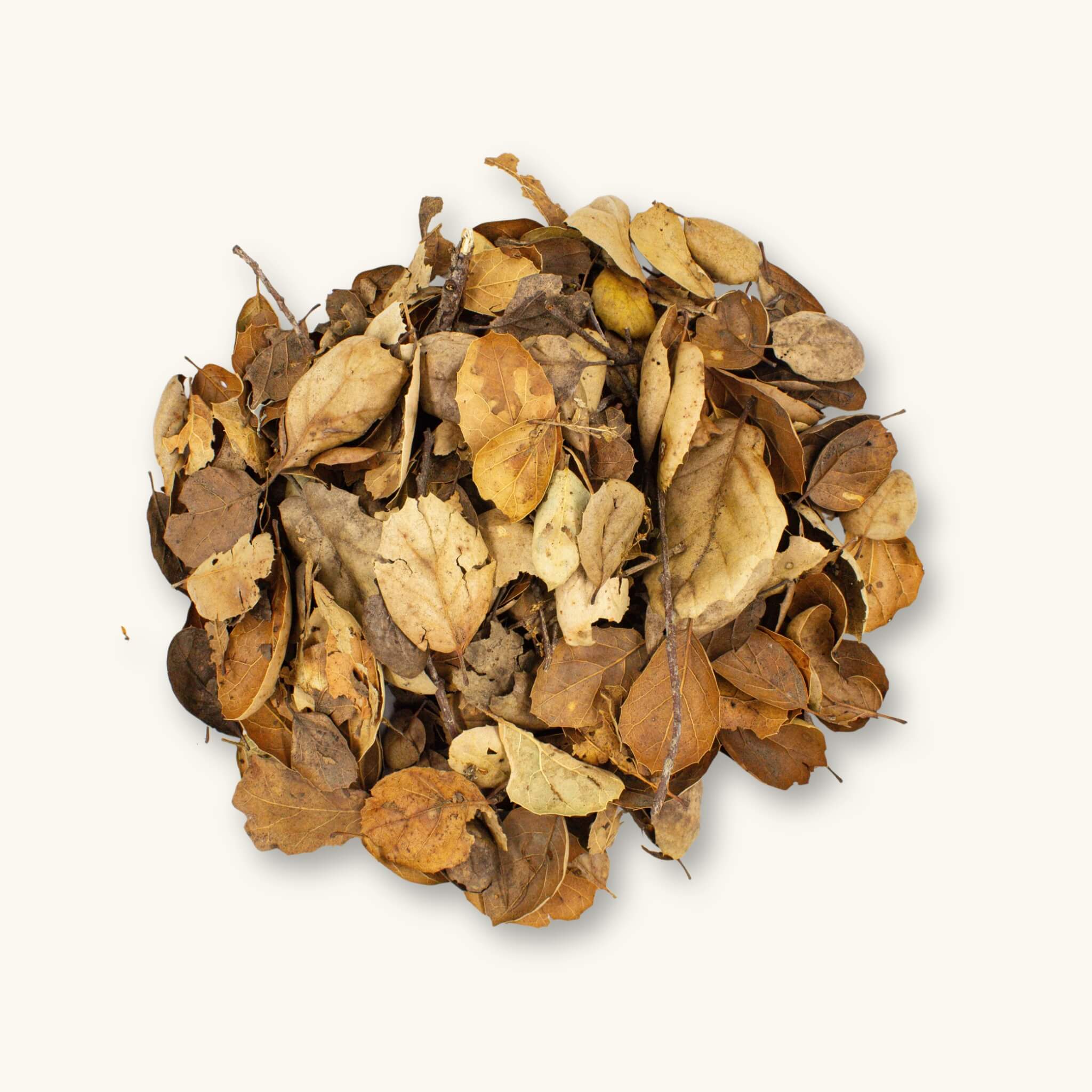 A 12oz pile of brown and tan coastal pacific live oak with twigs and leaf litter, photographed on a natural background at Betta Botanicals.