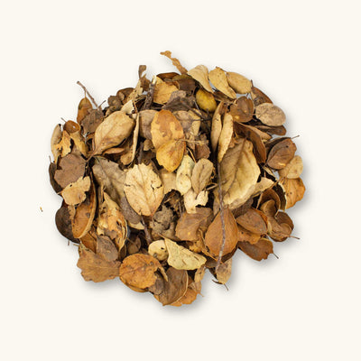 A 12oz pile of brown and tan coastal pacific live oak with twigs and leaf litter, photographed on a natural background at Betta Botanicals.