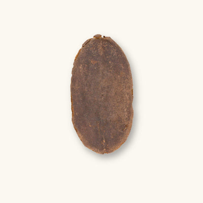 The underside of a dense woody Para Para Pod (Jacaranda copaia), showing its natural texture for vivariums, photographed on a natural background at Betta Botanicals.