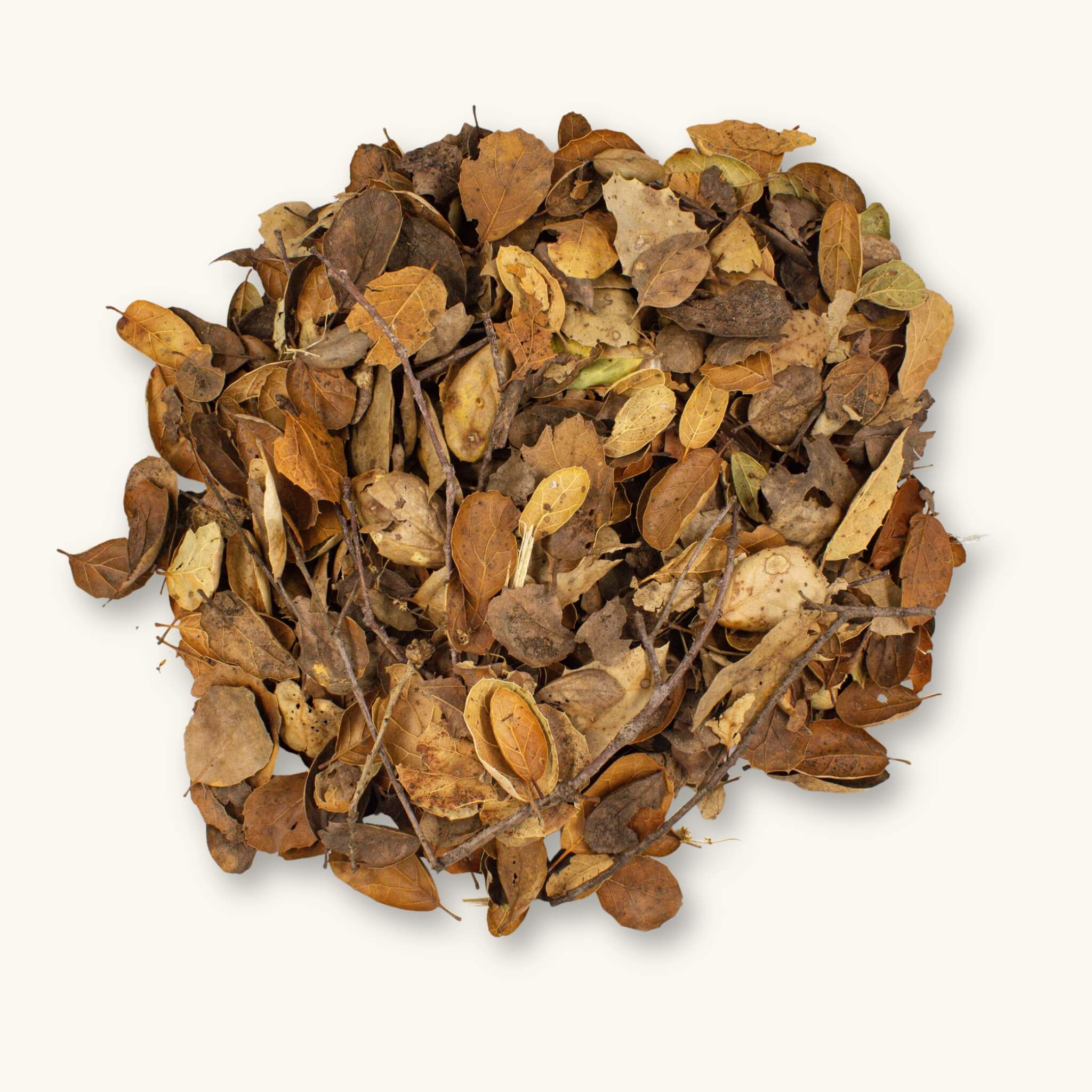 A 32oz pile of brown and tan coastal pacific live oak with twigs and leaf litter, photographed on a natural background at Betta Botanicals.