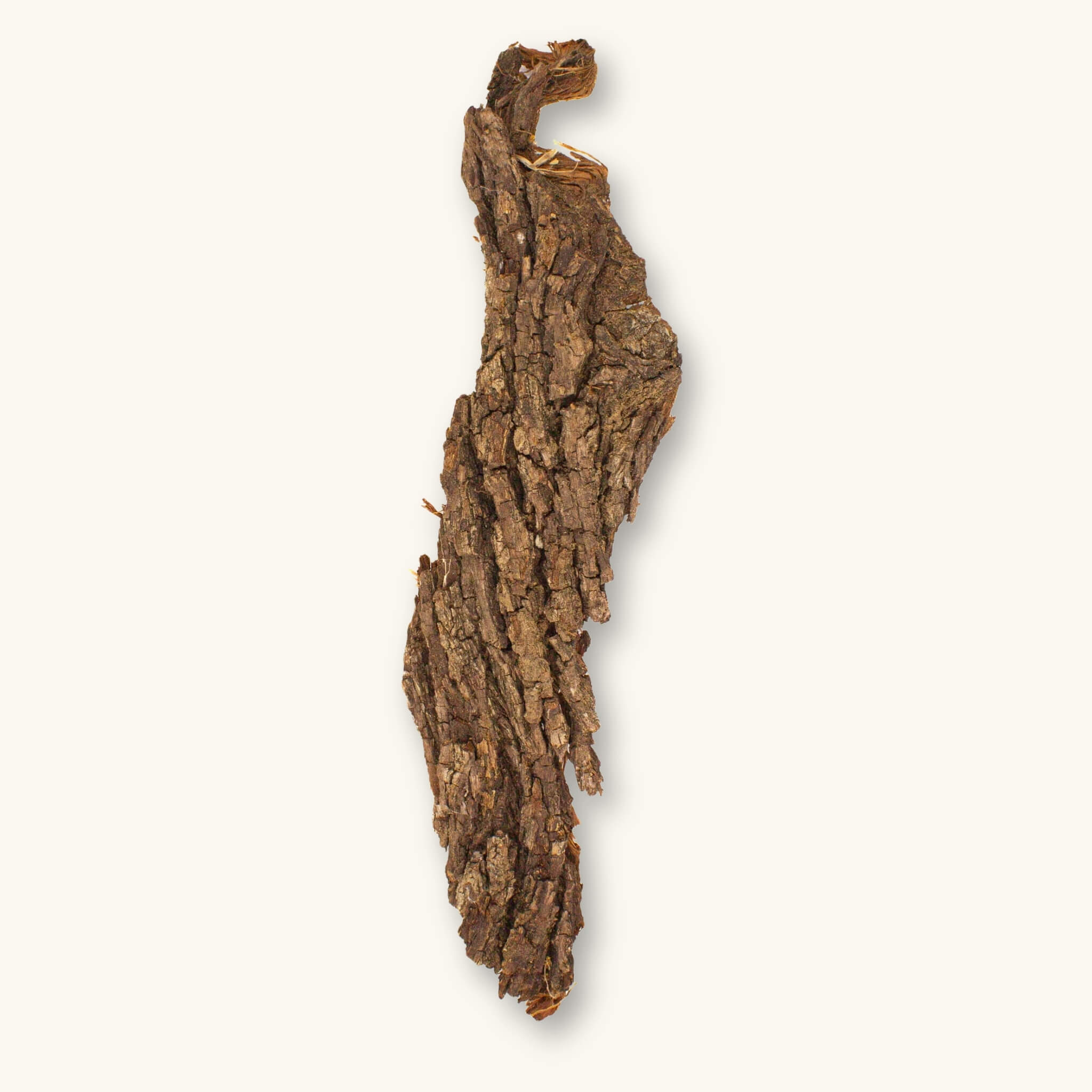 Texas Live Oak Bark for Blackwater Aquariums & Vivariums