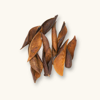 A collection of curled brown and orange Sappanwood pods (Biancaea sappan) for blackwater aquariums, photographed on a natural background at Betta Botanicals.