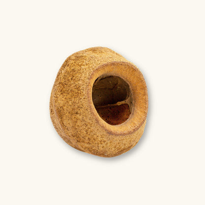 A hollow, round brown sapucaia king pod (Lecythis pisonis) for blackwater aquariums, photographed on a natural background at Betta Botanicals.