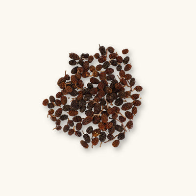 A flat lay of fourty five grams of brown and tan siberian alder cones for shrimp aquariums, photographed on a natural background at Betta Botanicals.