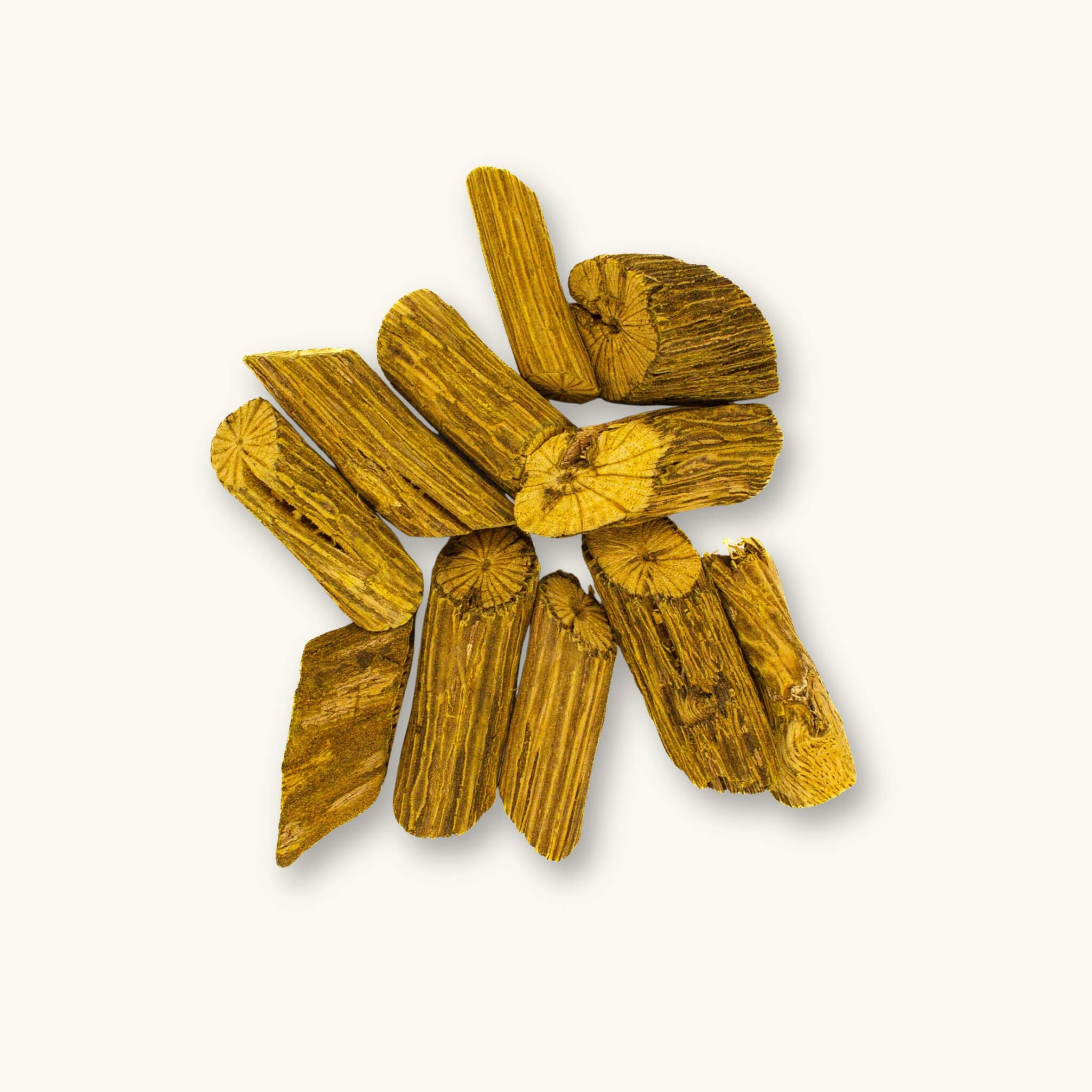 Multiple Yellow Bajakah Root pieces (Spatholobus littoralis hassk) photographed on a natural background for botanical method aquariums and vivarium habitats at Betta Botanicals.