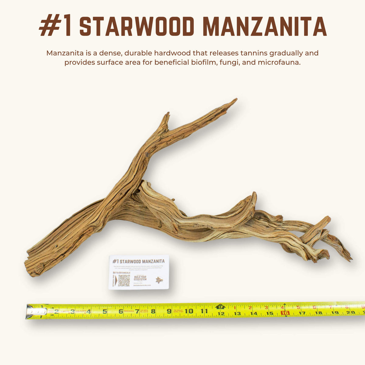 Starwood Manzanita | WYSIWYG Pieces