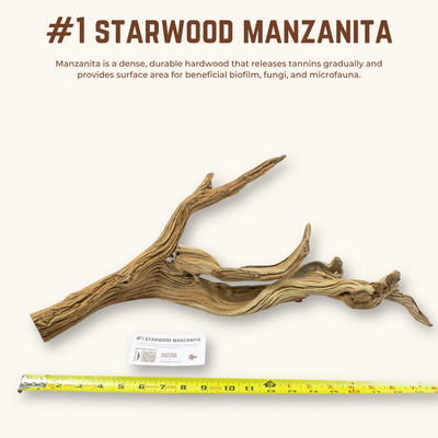 Starwood Manzanita | WYSIWYG Pieces