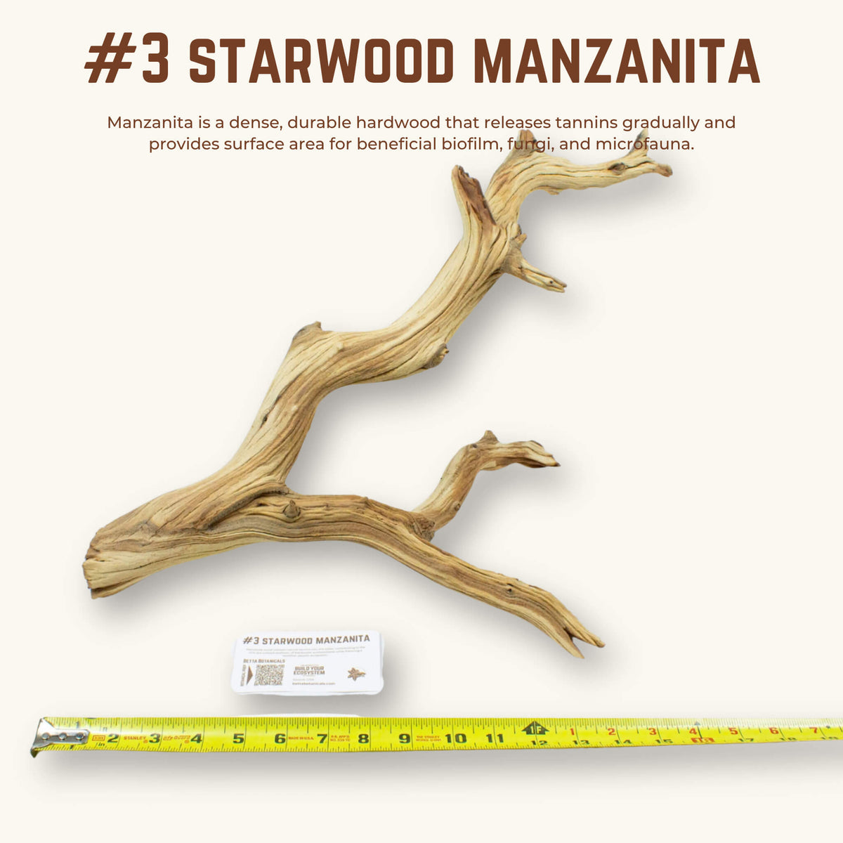 Starwood Manzanita | WYSIWYG Pieces