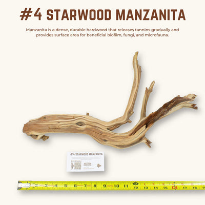 Starwood Manzanita | WYSIWYG Pieces