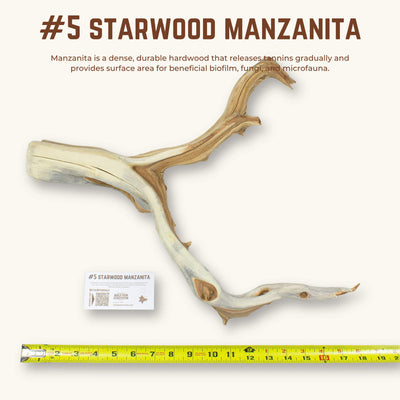 Starwood Manzanita | WYSIWYG Pieces
