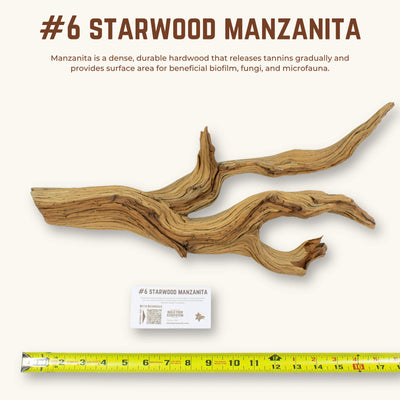 Starwood Manzanita | WYSIWYG Pieces