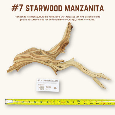 Starwood Manzanita | WYSIWYG Pieces