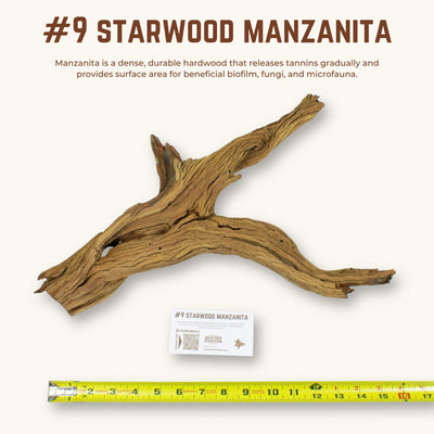 Starwood Manzanita | WYSIWYG Pieces