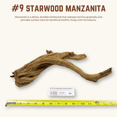 Starwood Manzanita | WYSIWYG Pieces