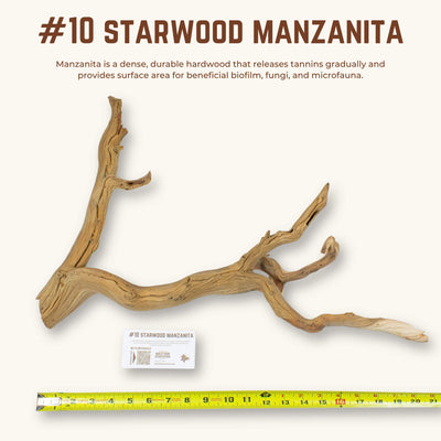 Starwood Manzanita | WYSIWYG Pieces