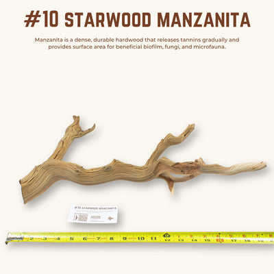 Starwood Manzanita | WYSIWYG Pieces