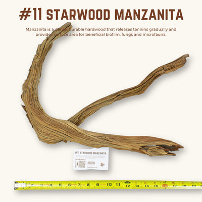 Starwood Manzanita | WYSIWYG Pieces
