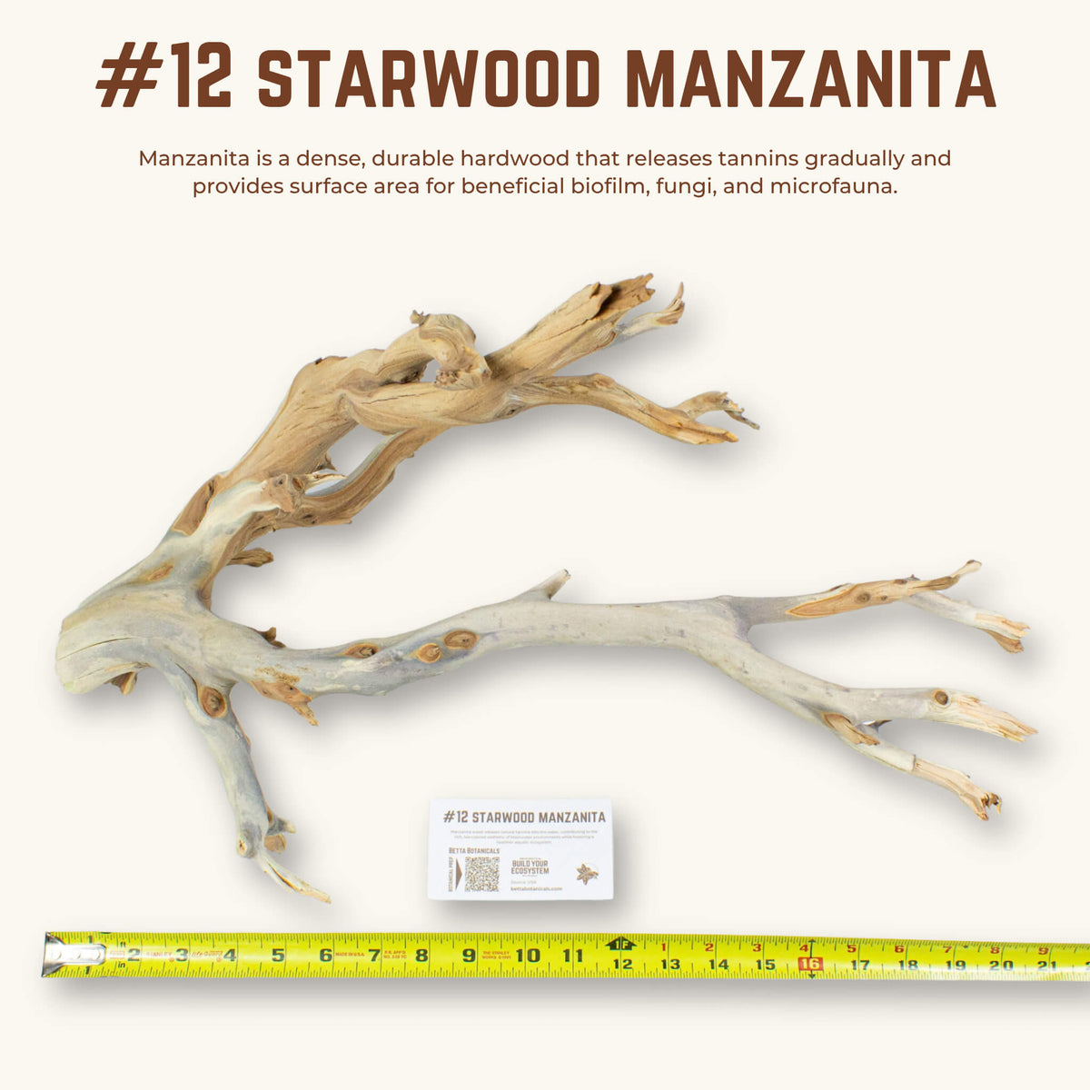 Starwood Manzanita | WYSIWYG Pieces