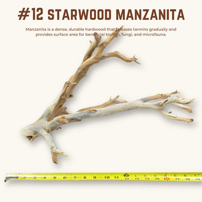 Starwood Manzanita | WYSIWYG Pieces