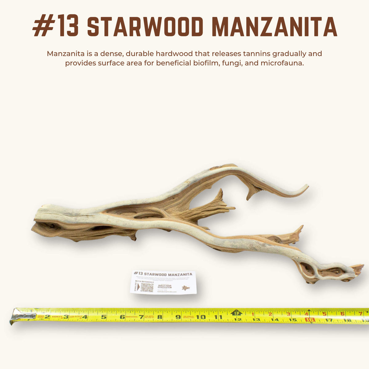 Starwood Manzanita | WYSIWYG Pieces