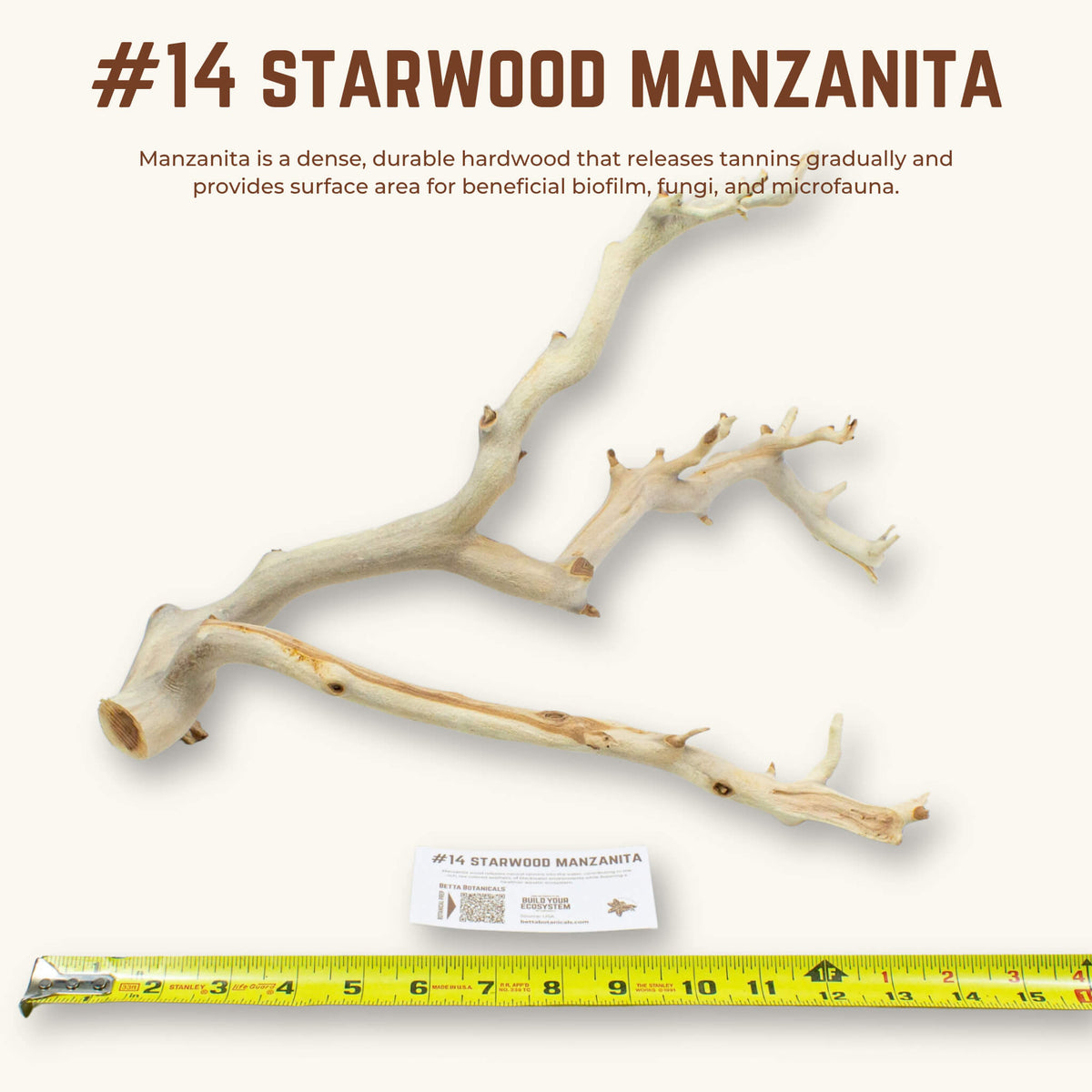 Starwood Manzanita | WYSIWYG Pieces