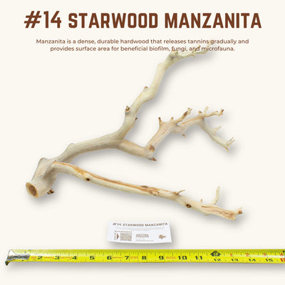 Starwood Manzanita | WYSIWYG Pieces