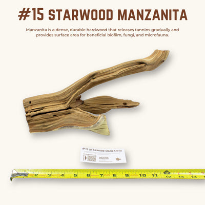 Starwood Manzanita | WYSIWYG Pieces