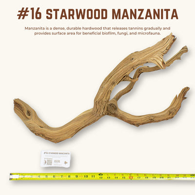 Starwood Manzanita | WYSIWYG Pieces