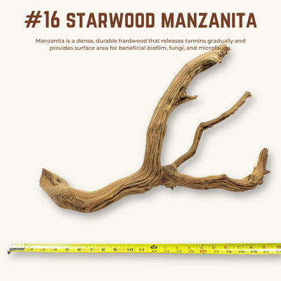 Starwood Manzanita | WYSIWYG Pieces