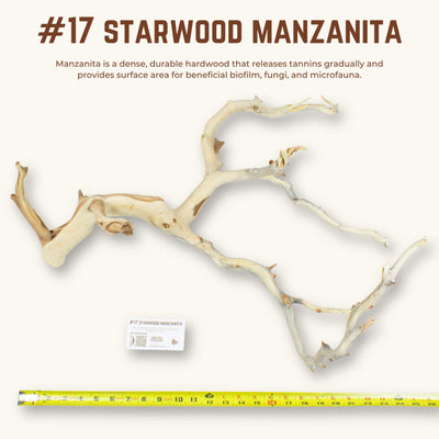 Starwood Manzanita | WYSIWYG Pieces