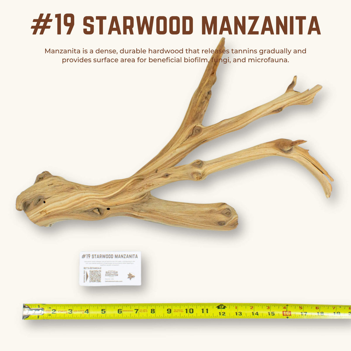Starwood Manzanita | WYSIWYG Pieces