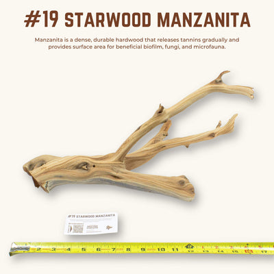 Starwood Manzanita | WYSIWYG Pieces